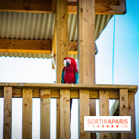 Parrot World, le parc animalier immersif d'Île-de-France