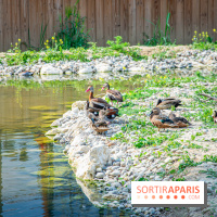 Parrot World, le parc animalier immersif d'Île-de-France
