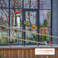 Parrot World, le parc animalier immersif d'Île-de-France