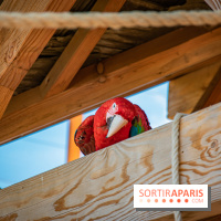 Parrot World, le parc animalier immersif d'Île-de-France