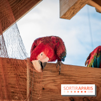 Parrot World, le parc animalier immersif d'Île-de-France