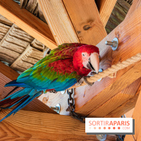 Parrot World, le parc animalier immersif d'Île-de-France