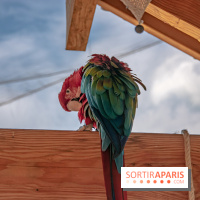Parrot World, le parc animalier immersif d'Île-de-France