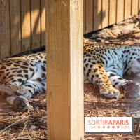 Parrot World, le parc animalier immersif d'Île-de-France