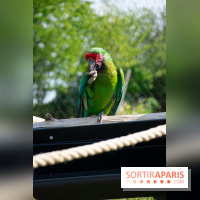 Parrot World, le parc animalier immersif d'Île-de-France