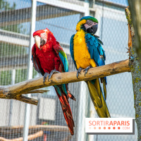 Parrot World, le parc animalier immersif d'Île-de-France