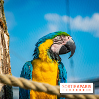 Parrot World, le parc animalier immersif d'Île-de-France