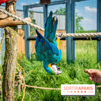 Parrot World, le parc animalier immersif d'Île-de-France