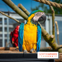 Parrot World, le parc animalier immersif d'Île-de-France