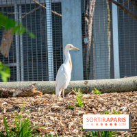 Parrot World, le parc animalier immersif d'Île-de-France