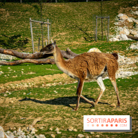 Parrot World, le parc animalier immersif d'Île-de-France