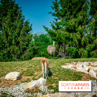 Parrot World, le parc animalier immersif d'Île-de-France