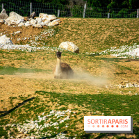 Parrot World, le parc animalier immersif d'Île-de-France
