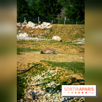 Parrot World, le parc animalier immersif d'Île-de-France