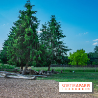 Parrot World, le parc animalier immersif d'Île-de-France