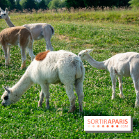 Parrot World, le parc animalier immersif d'Île-de-France
