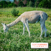 Parrot World, le parc animalier immersif d'Île-de-France