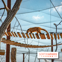 Parrot World, le parc animalier immersif d'Île-de-France