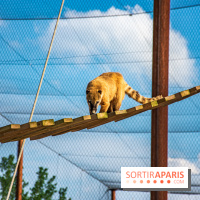 Parrot World, le parc animalier immersif d'Île-de-France