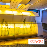 Surface Horizon, l'exposition à Lafayette Anticipations : nos photos