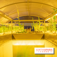 Surface Horizon, l'exposition à Lafayette Anticipations : nos photos