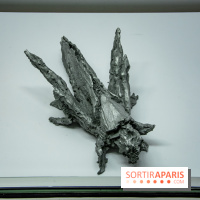 Surface Horizon, l'exposition à Lafayette Anticipations : nos photos