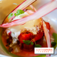 Narro à Paris, nos photos