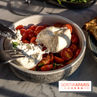 Les Piaules Nation, le rooftop