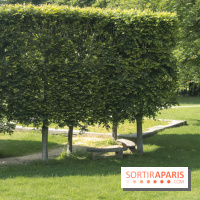 Le domaine royal de Marly et son musée !