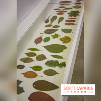 Drawing Power - Children of Compost, l'exposition au Drawing Lab