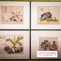 Jardins d'Asie, l'exposition dépaysante du Musée Guimet - nos photos