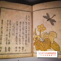 Jardins d'Asie, l'exposition dépaysante du Musée Guimet - nos photos