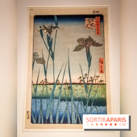 Jardins d'Asie, l'exposition dépaysante du Musée Guimet - nos photos