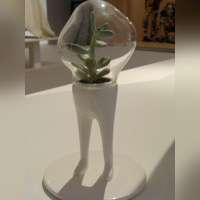 Body house - François Bernard©