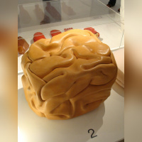 Body house - François Bernard©