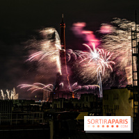 Photos feu d'artifice Paris 2021