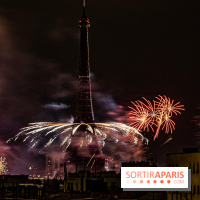 Photos feu d'artifice Paris 2021