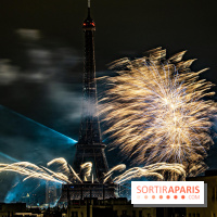 Photos feu d'artifice Paris 2021