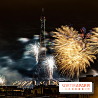 Photos feu d'artifice Paris 2021