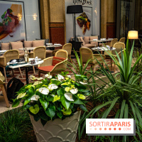 La Terrasse estivale du 19.20  au Prince de Galles Paris