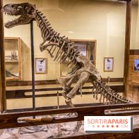 Team Breack La Défense