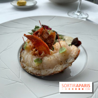 Oiseau Blanc Peninsula