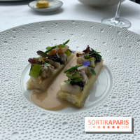 Oiseau Blanc Peninsula