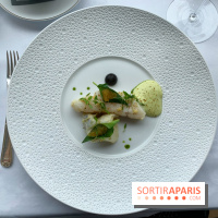 Oiseau Blanc Peninsula