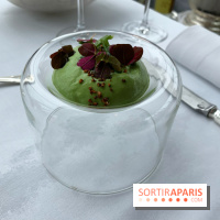 Oiseau Blanc Peninsula