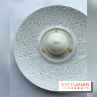 Oiseau Blanc Peninsula