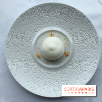 Oiseau Blanc Peninsula