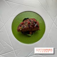 Oiseau Blanc Peninsula