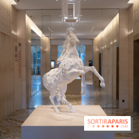 Le Cheval Blanc Paris se dévoile en photos !