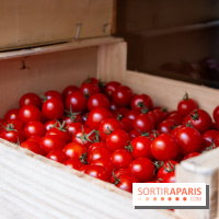 Sapid, la table à manger Naturaliste d'Alan Ducasse : nos photos